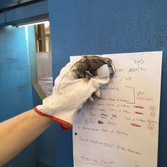 magnete con pomolo, appendidocumenti magnetico, forte magnete professionale